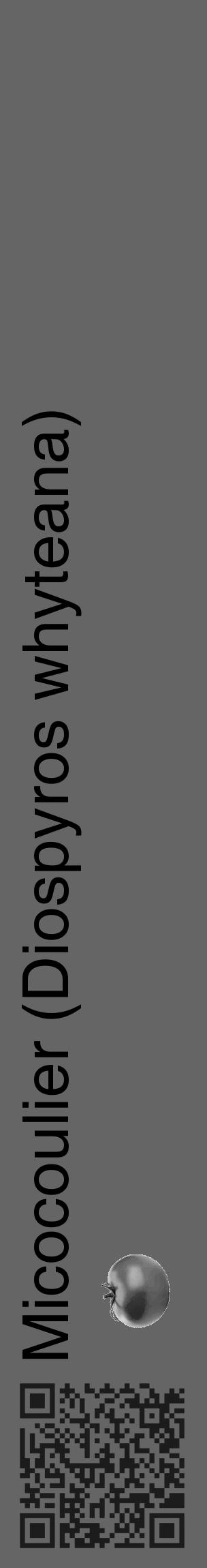Étiquette de : Diospyros whyteana - format c - style noire32_basique_basiquehel avec qrcode et comestibilité simplifiée - position verticale