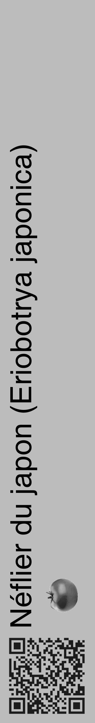 Étiquette de : Eriobotrya japonica - format c - style noire1_basique_basiquehel avec qrcode et comestibilité simplifiée - position verticale