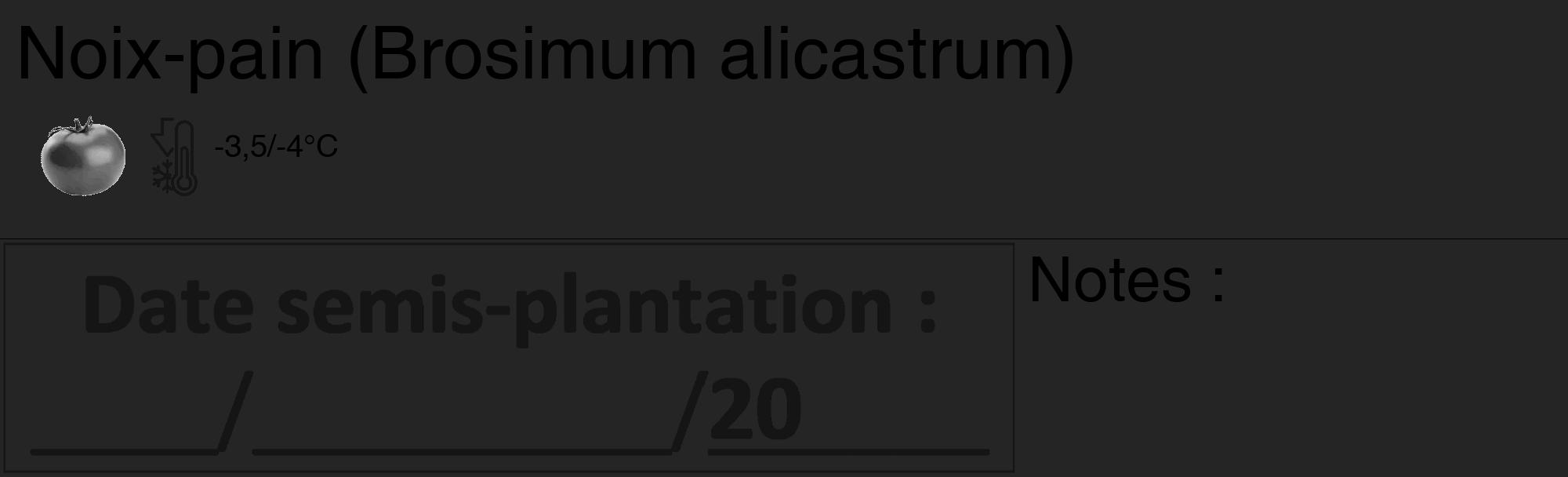 Étiquette de : Brosimum alicastrum - format c - style noire47_basique_basiquehel avec comestibilité simplifiée