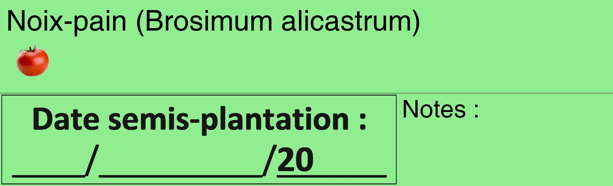 Étiquette de : Brosimum alicastrum - format c - style noire15_basique_basiquehel avec comestibilité simplifiée