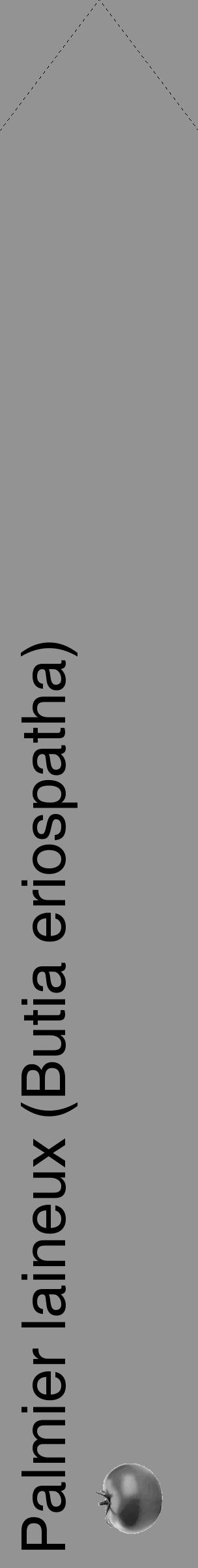 Étiquette de : Butia eriospatha - format c - style noire44_simple_simplehel avec comestibilité simplifiée - position verticale