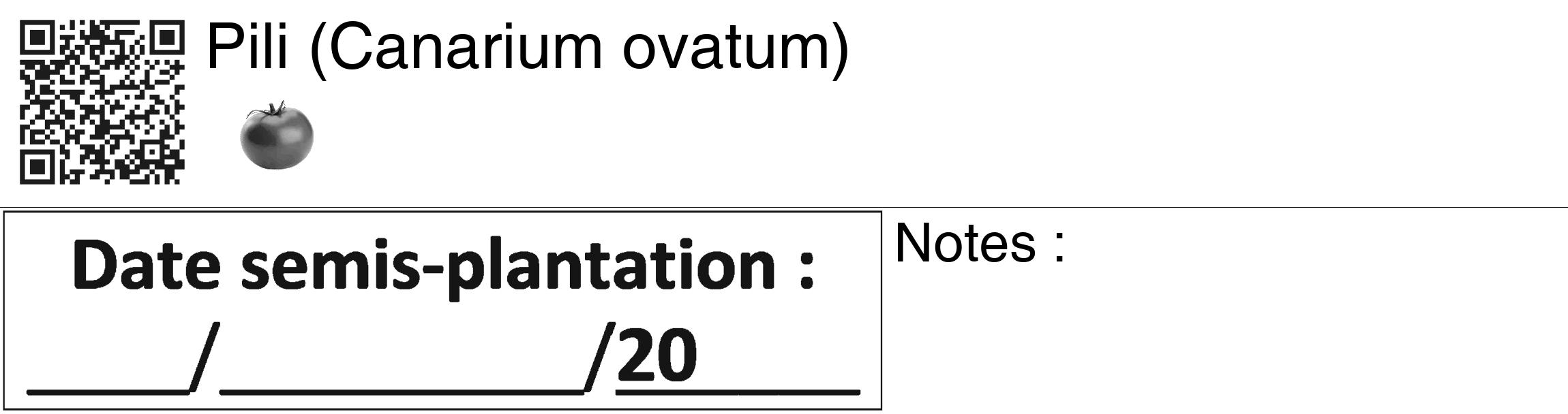 Étiquette de : Canarium ovatum - format c - style noire60_basiquegrrvhel avec qrcode et comestibilité simplifiée