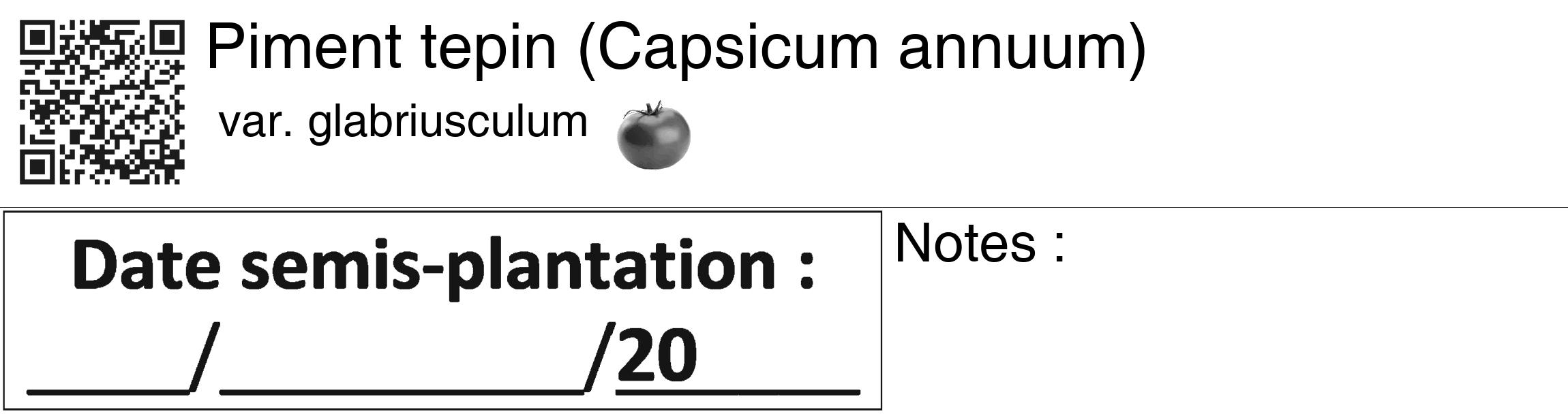Étiquette de : Capsicum annuum var. glabriusculum - format c - style noire60_basiquegrrvhel avec qrcode et comestibilité simplifiée
