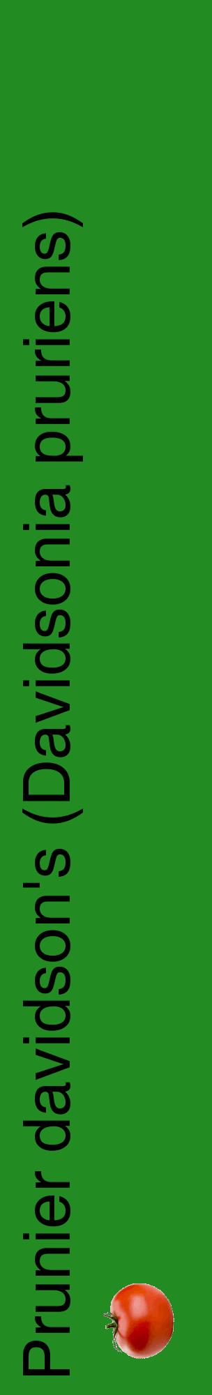 Étiquette de : Davidsonia pruriens - format c - style noire10_basiquehel avec comestibilité simplifiée