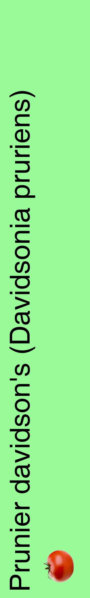 Étiquette de : Davidsonia pruriens - format c - style noire14_basiquehel avec comestibilité simplifiée