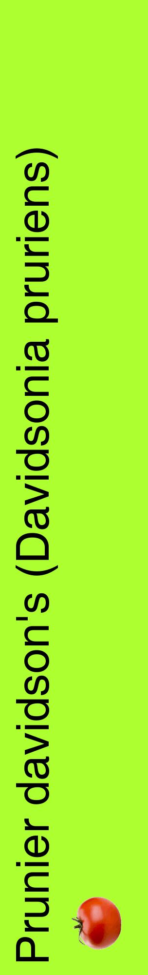 Étiquette de : Davidsonia pruriens - format c - style noire17_basiquehel avec comestibilité simplifiée
