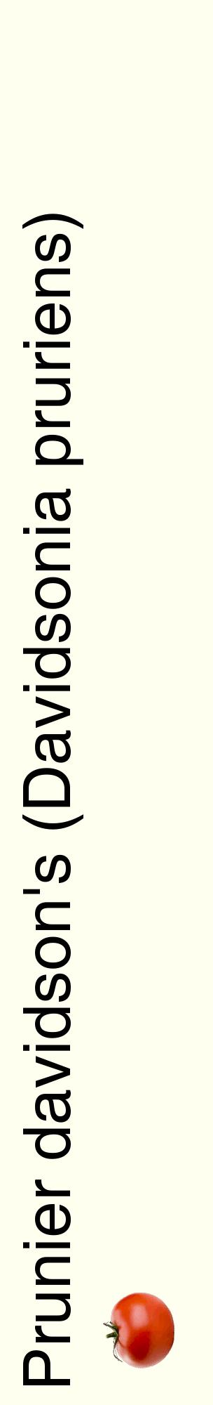 Étiquette de : Davidsonia pruriens - format c - style noire19_basiquehel avec comestibilité simplifiée