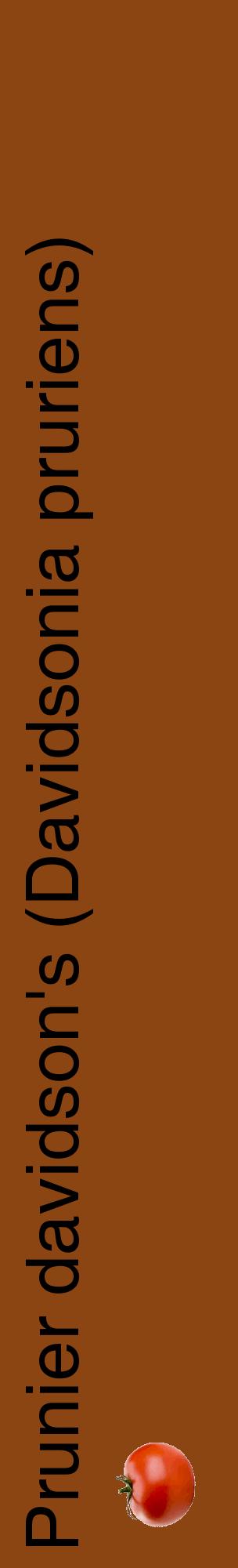 Étiquette de : Davidsonia pruriens - format c - style noire30_basiquehel avec comestibilité simplifiée