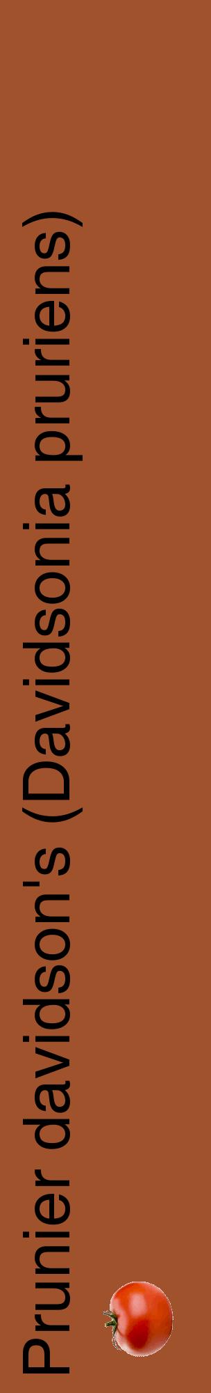 Étiquette de : Davidsonia pruriens - format c - style noire32_basiquehel avec comestibilité simplifiée