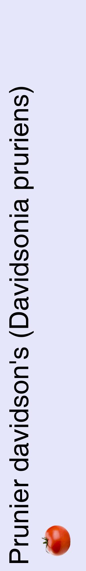 Étiquette de : Davidsonia pruriens - format c - style noire55_basiquehel avec comestibilité simplifiée