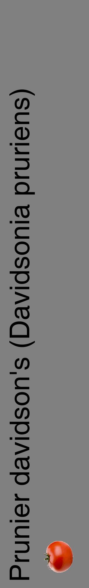 Étiquette de : Davidsonia pruriens - format c - style noire57_basiquehel avec comestibilité simplifiée