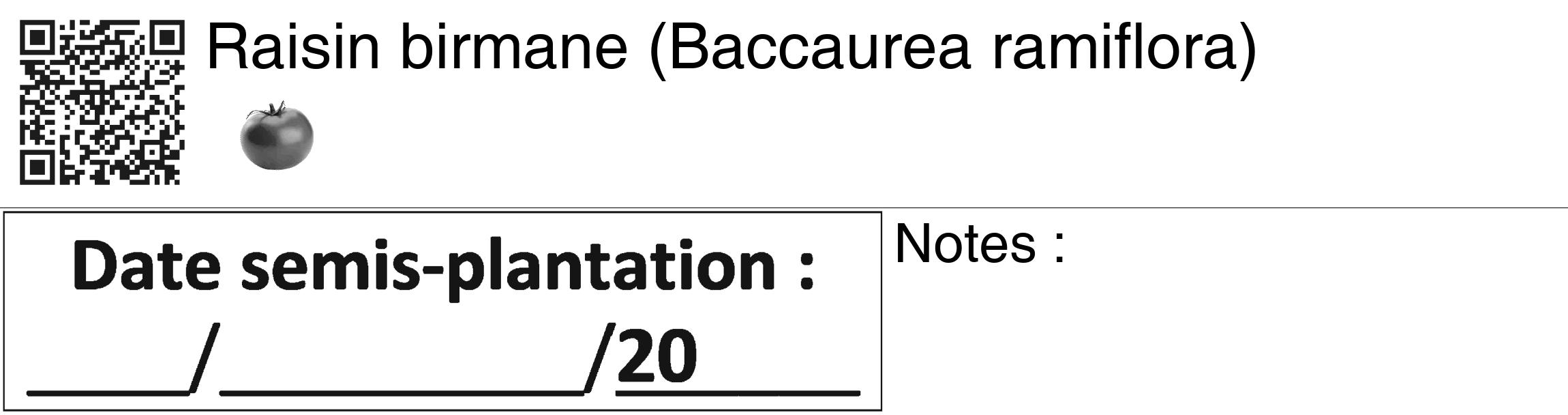 Étiquette de : Baccaurea ramiflora - format c - style noire60_basiquegrrvhel avec qrcode et comestibilité simplifiée