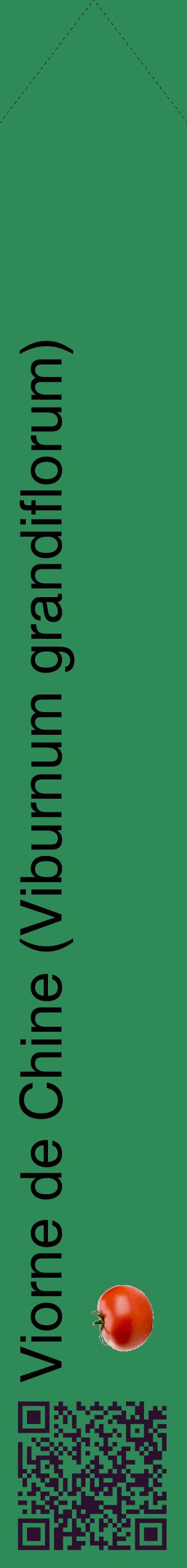 Étiquette de : Viburnum grandiflorum - format c - style noire11_simplehel avec qrcode et comestibilité simplifiée