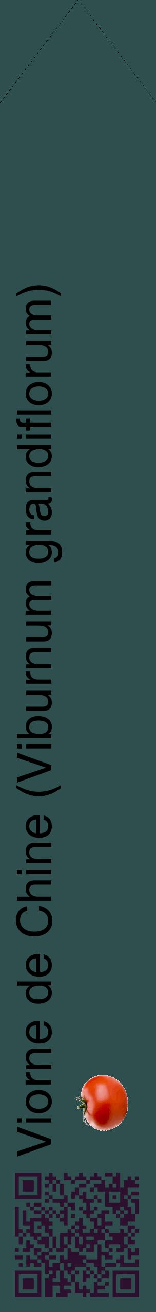 Étiquette de : Viburnum grandiflorum - format c - style noire58_simplehel avec qrcode et comestibilité simplifiée