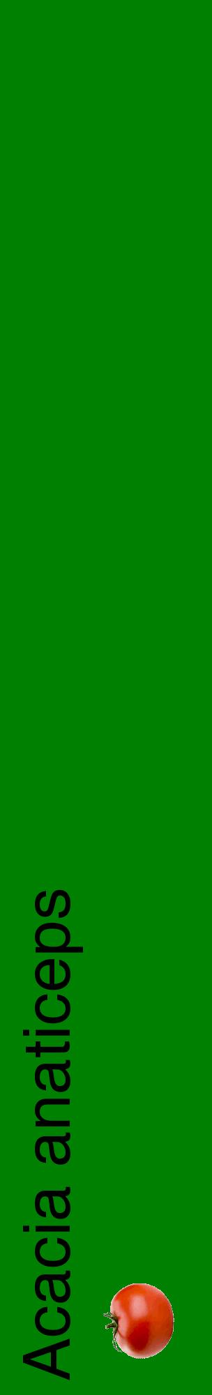 Étiquette de : Acacia anaticeps - format c - style noire9_basiquehel avec comestibilité simplifiée