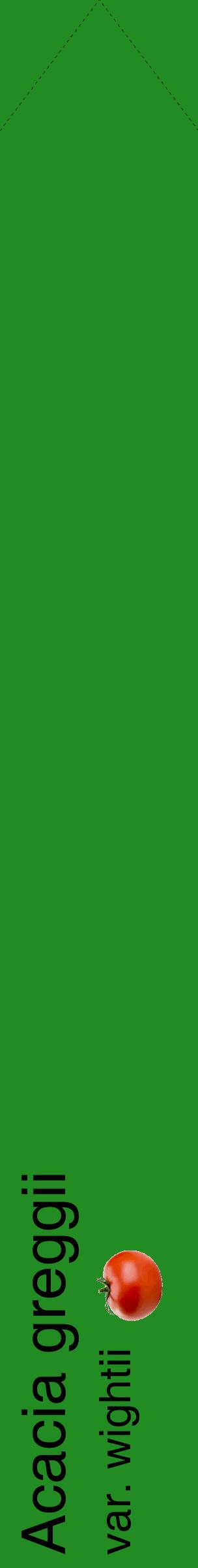 Étiquette de : Acacia greggii var. wightii - format c - style noire10_simplehel avec comestibilité simplifiée