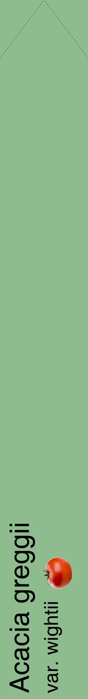 Étiquette de : Acacia greggii var. wightii - format c - style noire13_simplehel avec comestibilité simplifiée