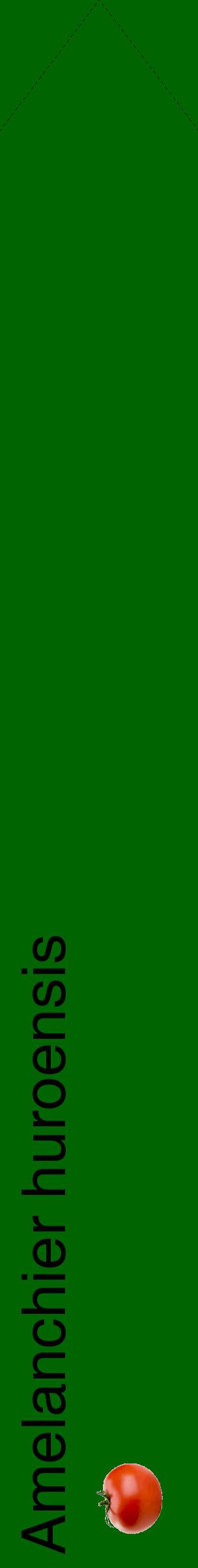 Étiquette de : Amelanchier huroensis - format c - style noire8_simplehel avec comestibilité simplifiée