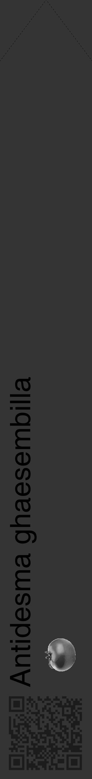 Étiquette de : Antidesma ghaesembilla - format c - style noire46_simple_simplehel avec qrcode et comestibilité simplifiée - position verticale