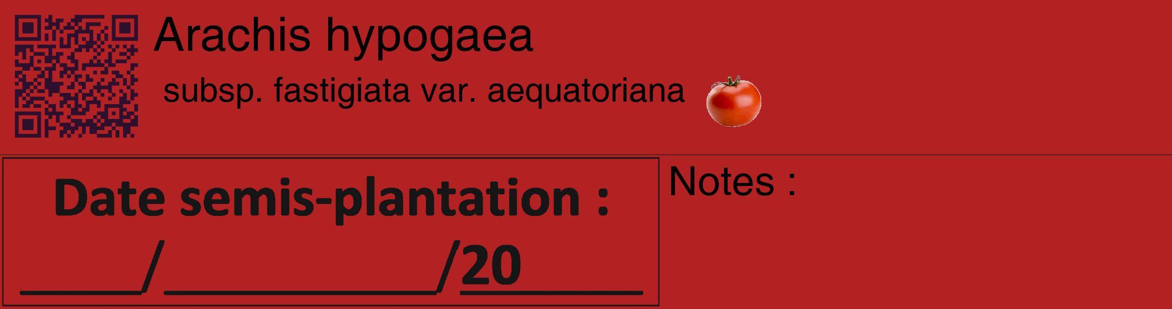 Étiquette de : Arachis hypogaea subsp. fastigiata var. aequatoriana - format c - style noire28_basique_basiquehel avec qrcode et comestibilité simplifiée