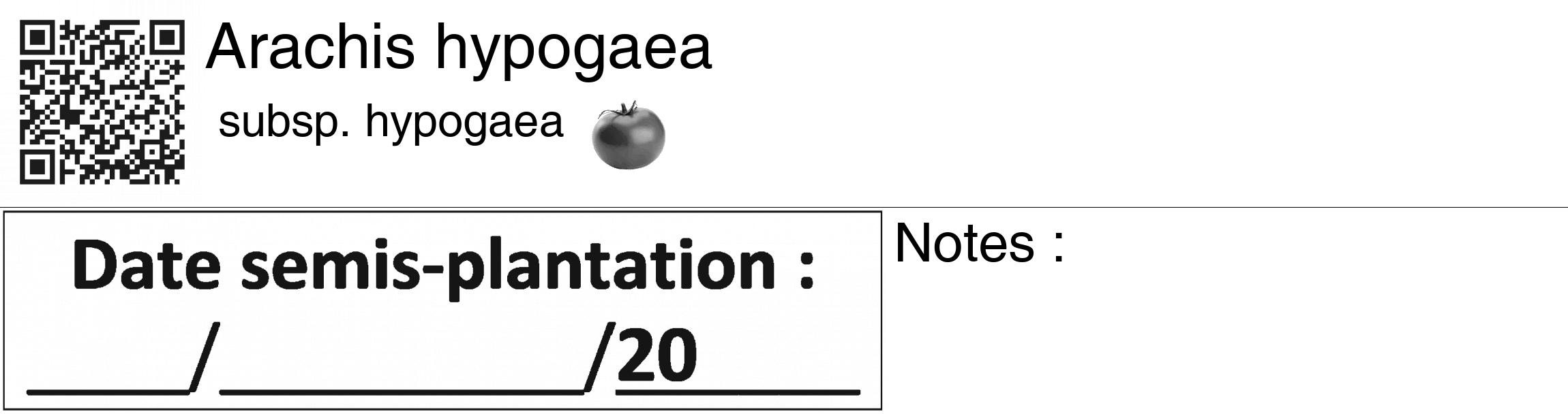 Étiquette de : Arachis hypogaea subsp. hypogaea - format c - style noire60_basiquegrrvhel avec qrcode et comestibilité simplifiée