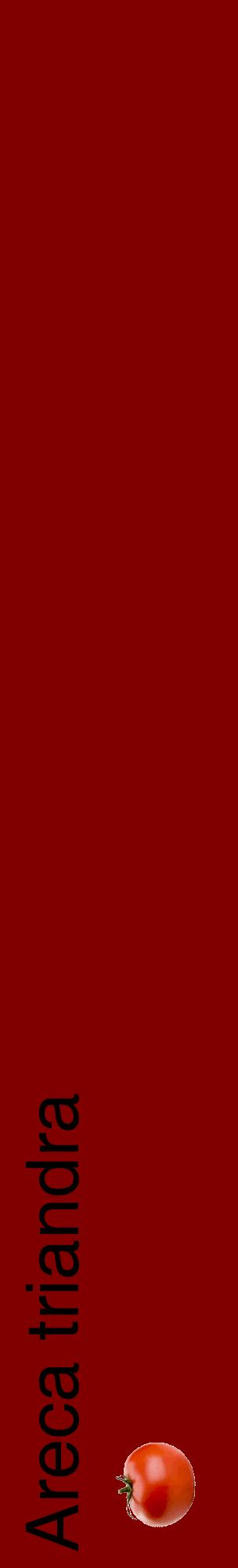 Étiquette de : Areca triandra - format c - style noire29_basiquehel avec comestibilité simplifiée