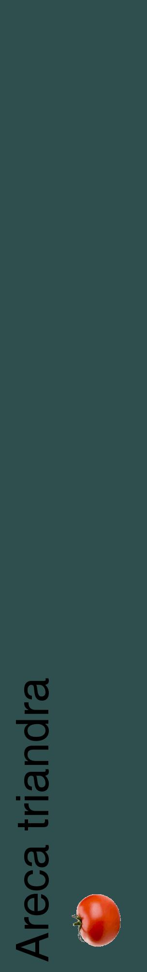 Étiquette de : Areca triandra - format c - style noire58_basiquehel avec comestibilité simplifiée