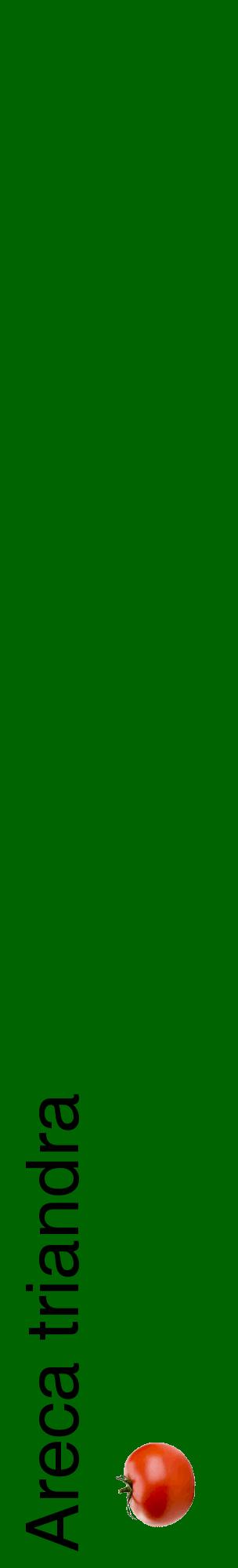 Étiquette de : Areca triandra - format c - style noire8_basiquehel avec comestibilité simplifiée