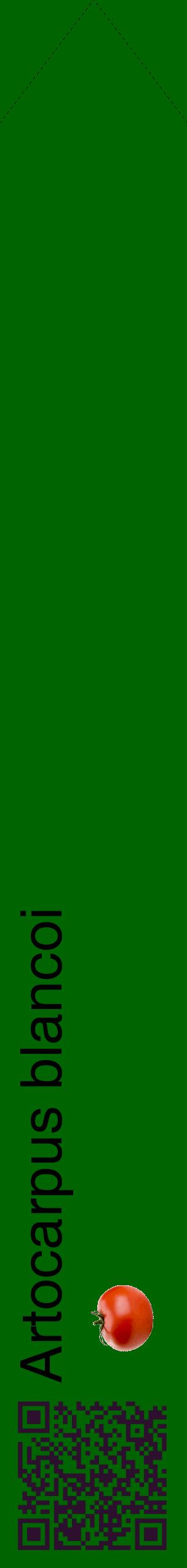 Étiquette de : Artocarpus blancoi - format c - style noire8_simplehel avec qrcode et comestibilité simplifiée