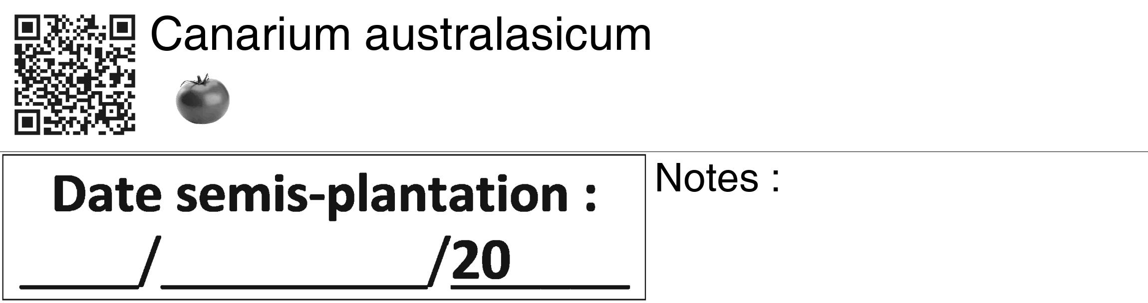 Étiquette de : Canarium australasicum - format c - style noire60_basiquegrrvhel avec qrcode et comestibilité simplifiée
