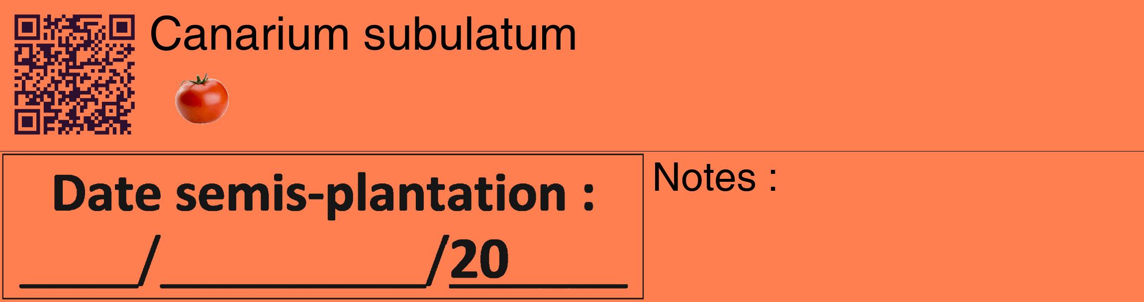 Étiquette de : Canarium subulatum - format c - style noire24_basique_basiquehel avec qrcode et comestibilité simplifiée