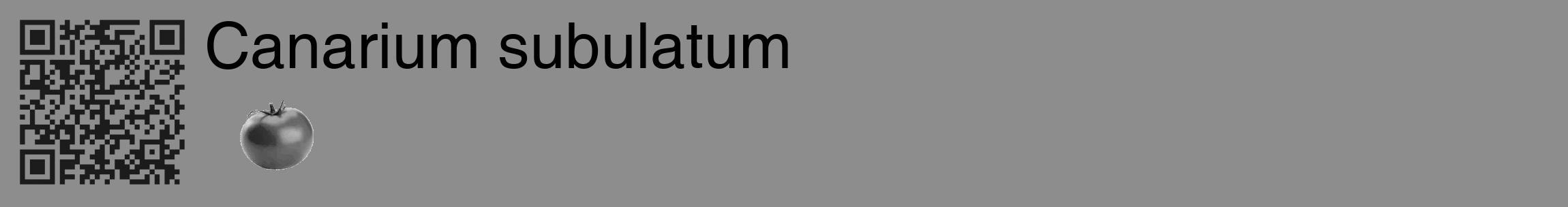 Étiquette de : Canarium subulatum - format c - style noire2_basique_basiquehel avec qrcode et comestibilité simplifiée