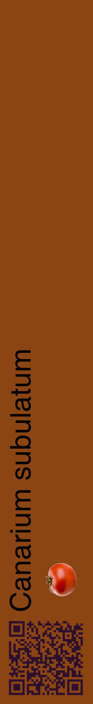 Étiquette de : Canarium subulatum - format c - style noire30_basiquehel avec qrcode et comestibilité simplifiée