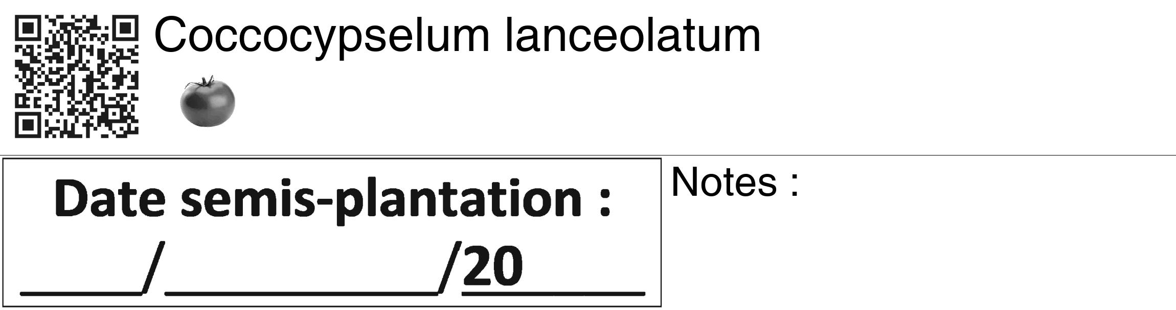 Étiquette de : Coccocypselum lanceolatum - format c - style noire60_basiquegrrvhel avec qrcode et comestibilité simplifiée