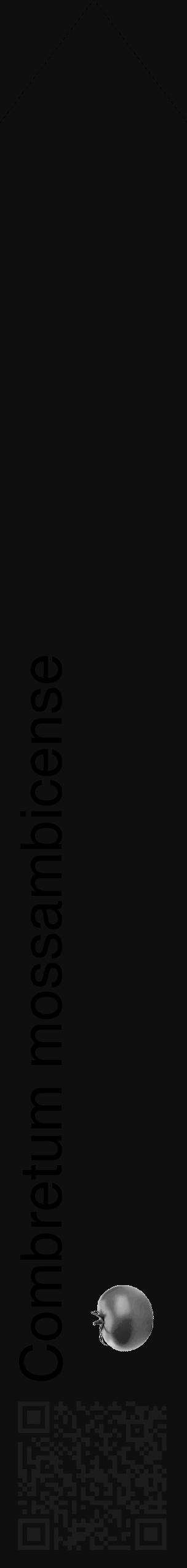 Étiquette de : Combretum mossambicense - format c - style noire7_simple_simplehel avec qrcode et comestibilité simplifiée - position verticale