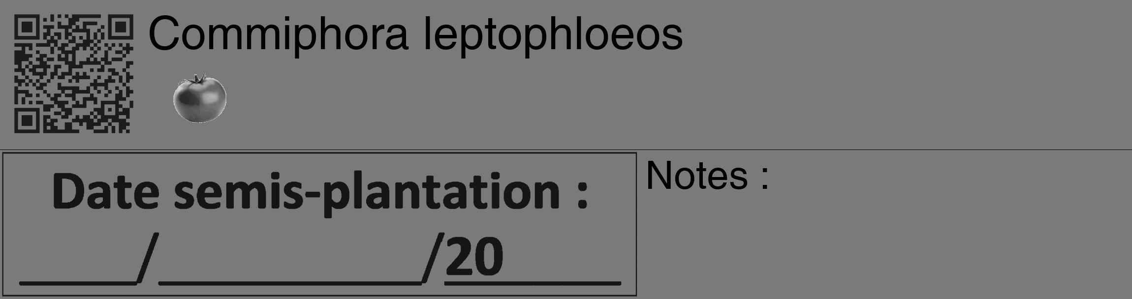 Étiquette de : Commiphora leptophloeos - format c - style noire3_basique_basiquehel avec qrcode et comestibilité simplifiée