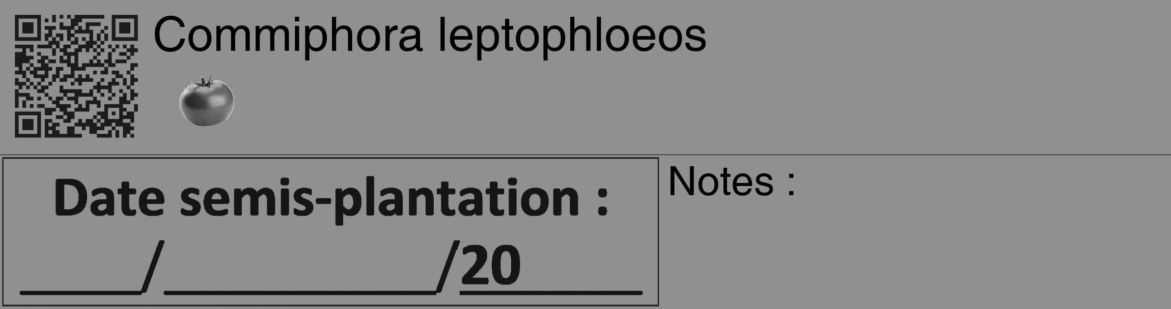 Étiquette de : Commiphora leptophloeos - format c - style noire4_basique_basiquehel avec qrcode et comestibilité simplifiée