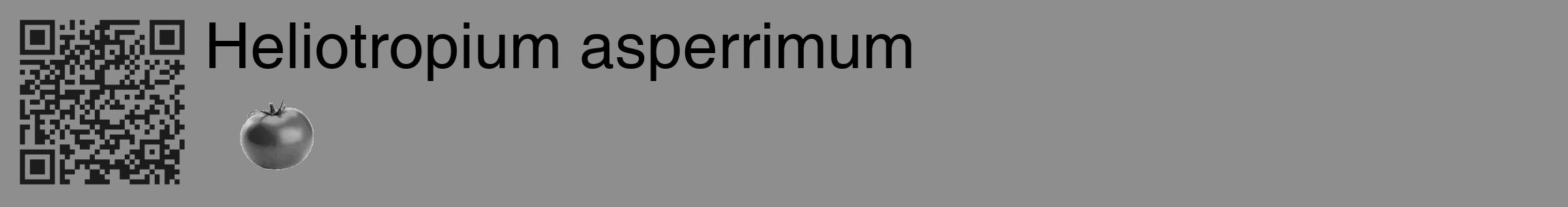 Étiquette de : Heliotropium asperrimum - format c - style noire25_basique_basiquehel avec qrcode et comestibilité simplifiée