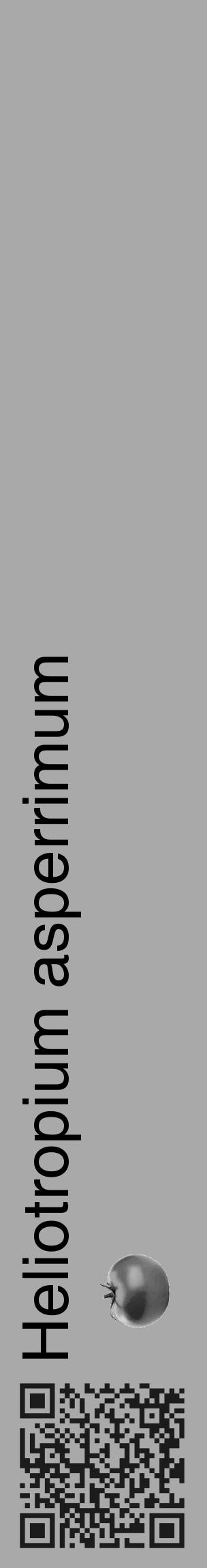 Étiquette de : Heliotropium asperrimum - format c - style noire13_basique_basiquehel avec qrcode et comestibilité simplifiée - position verticale