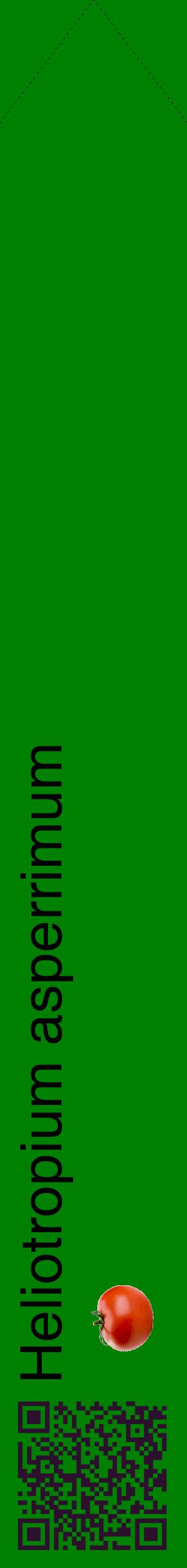 Étiquette de : Heliotropium asperrimum - format c - style noire9_simplehel avec qrcode et comestibilité simplifiée