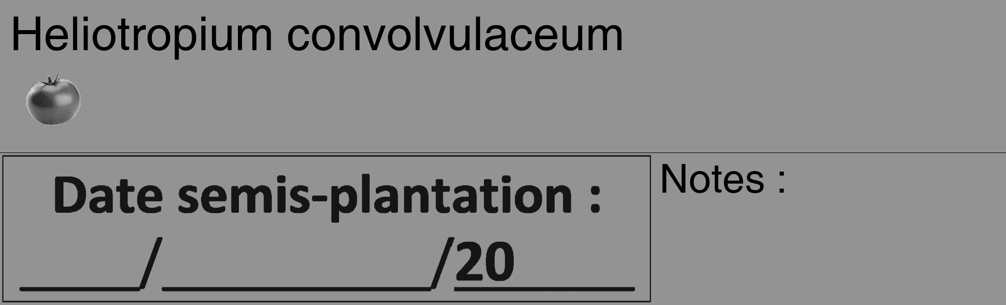 Étiquette de : Heliotropium convolvulaceum - format c - style noire44_basique_basiquehel avec comestibilité simplifiée