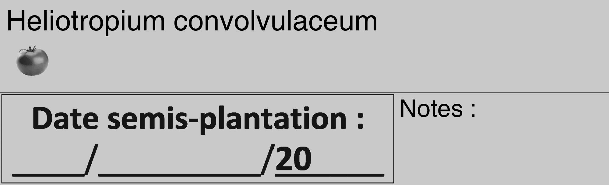 Étiquette de : Heliotropium convolvulaceum - format c - style noire54_basique_basiquehel avec comestibilité simplifiée