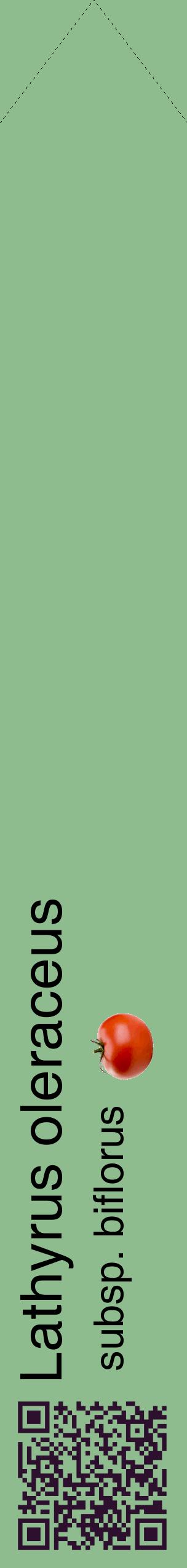 Étiquette de : Lathyrus oleraceus subsp. biflorus - format c - style noire13_simplehel avec qrcode et comestibilité simplifiée
