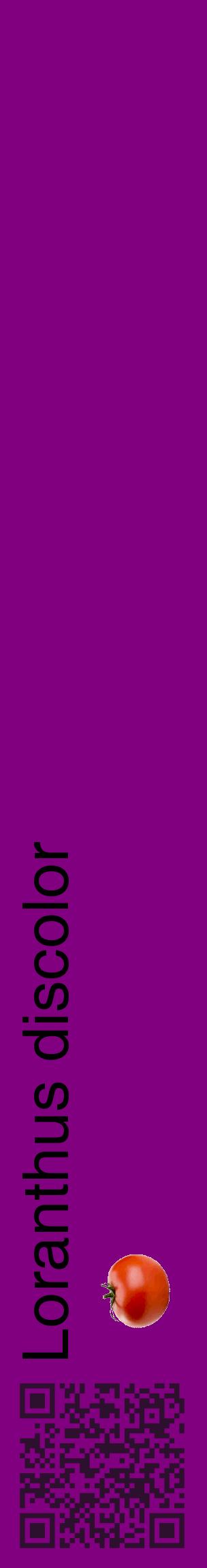 Étiquette de : Loranthus discolor - format c - style noire46_basiquehel avec qrcode et comestibilité simplifiée