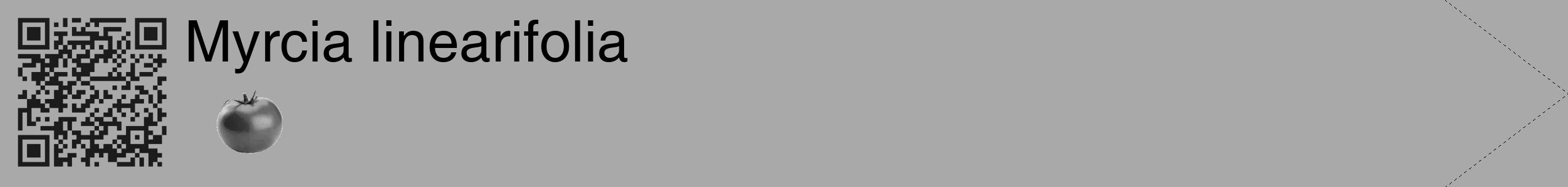 Étiquette de : Myrcia linearifolia - format c - style noire13_simple_simplehel avec qrcode et comestibilité simplifiée