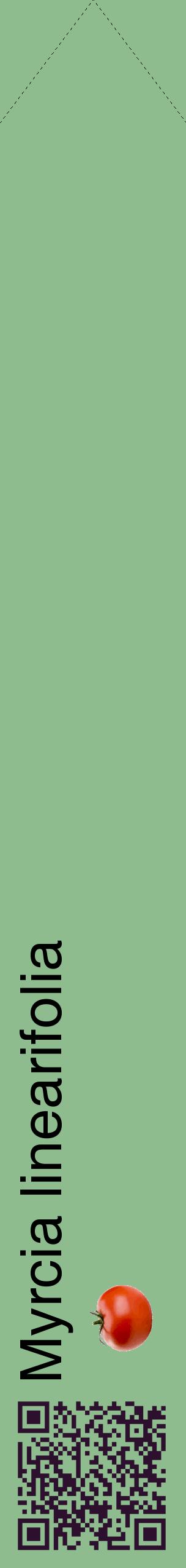 Étiquette de : Myrcia linearifolia - format c - style noire13_simplehel avec qrcode et comestibilité simplifiée