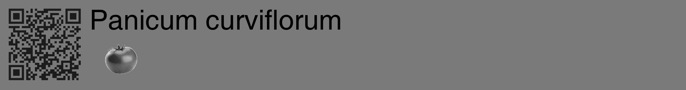 Étiquette de : Panicum curviflorum - format c - style noire3_basique_basiquehel avec qrcode et comestibilité simplifiée