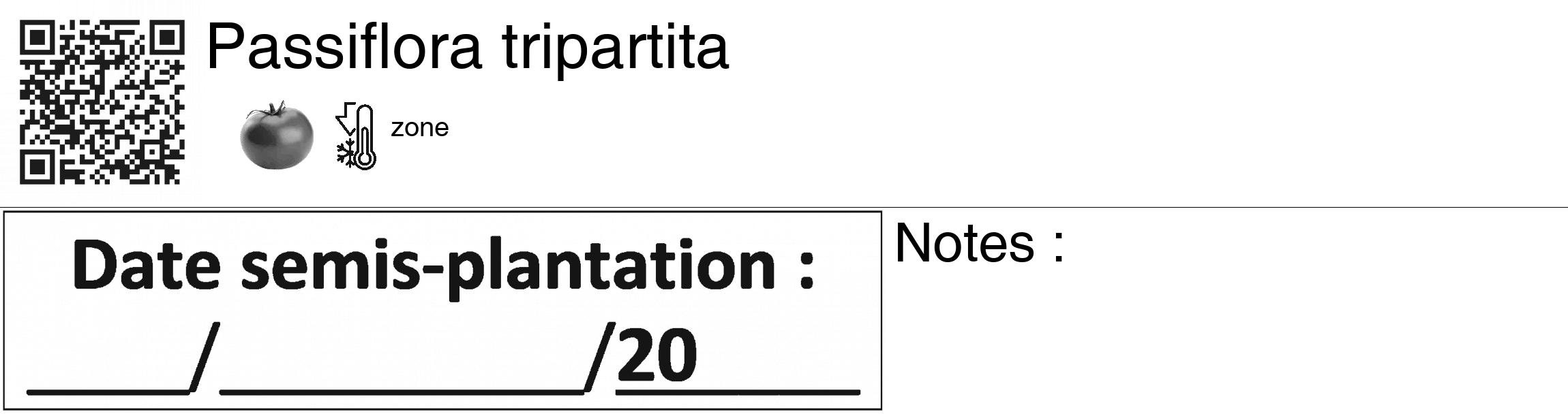 Étiquette de : Passiflora tripartita - format c - style noire60_basiquegrrvhel avec qrcode et comestibilité simplifiée
