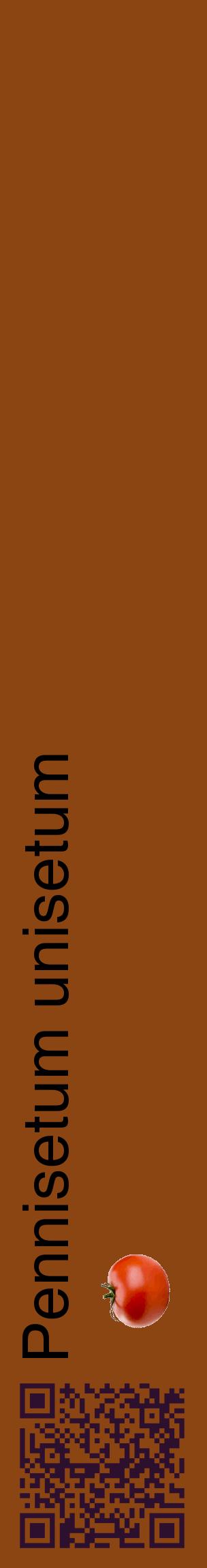 Étiquette de : Pennisetum unisetum - format c - style noire30_basiquehel avec qrcode et comestibilité simplifiée