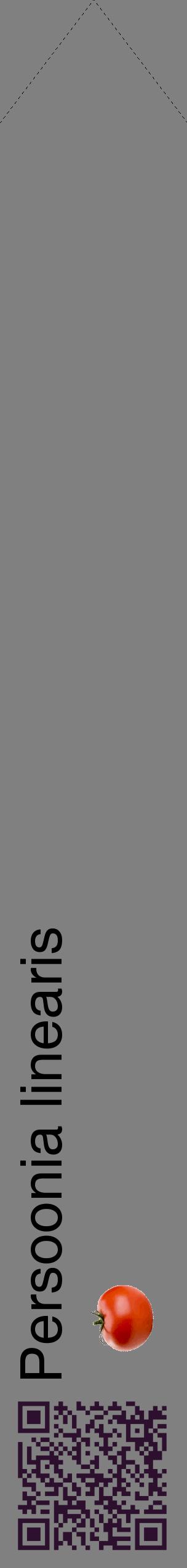 Étiquette de : Persoonia linearis - format c - style noire57_simplehel avec qrcode et comestibilité simplifiée